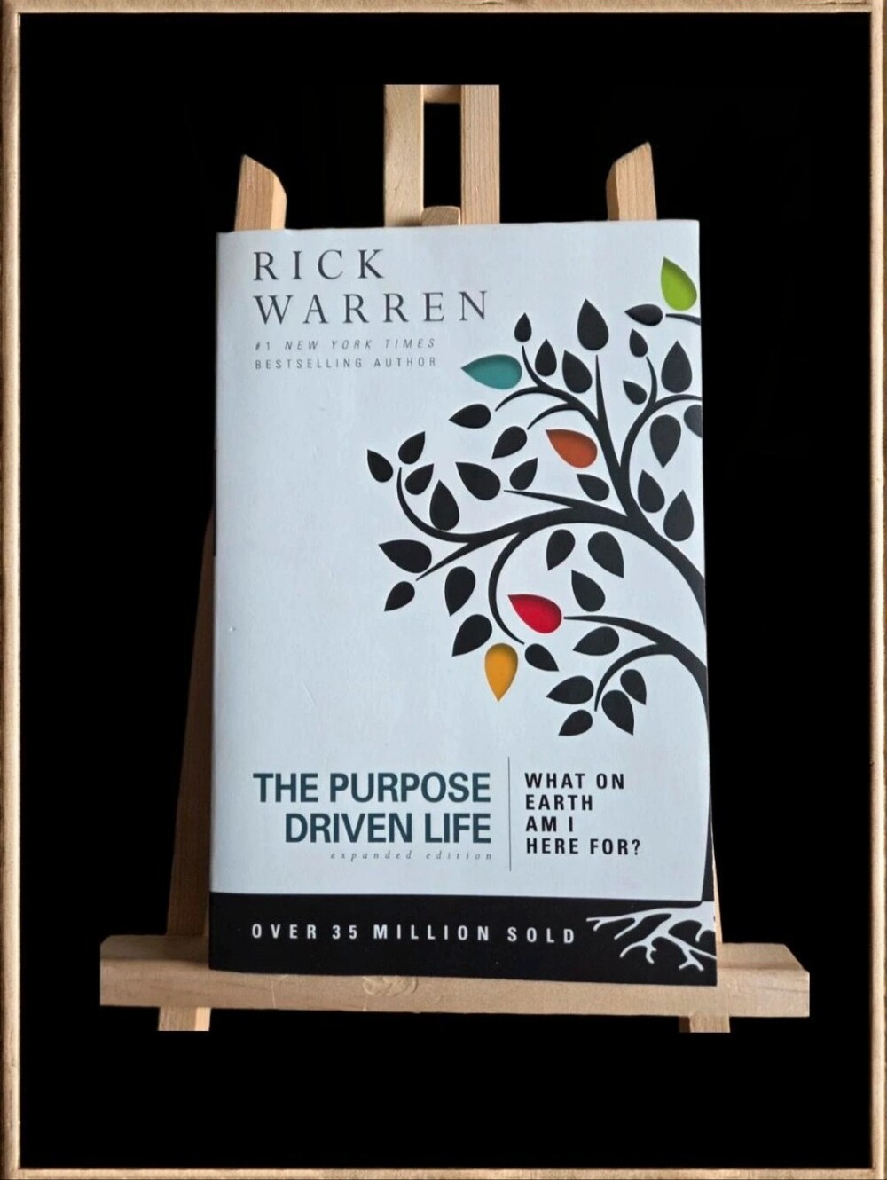 The Purpose Driven Life: What on Earth Am I Here For?